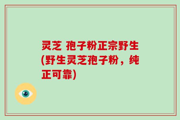 灵芝 孢子粉正宗野生(野生灵芝孢子粉,纯正可靠)