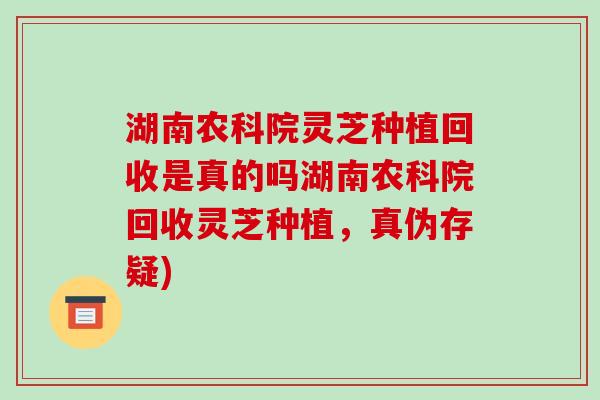 湖南农科院灵芝种植回收是真的吗湖南农科院回收灵芝种植，真伪存疑)