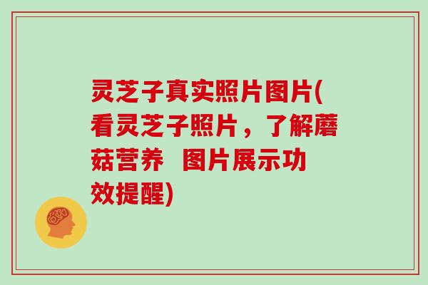 灵芝子真实照片图片(看灵芝子照片,了解蘑菇营养 图片展示功效提醒)