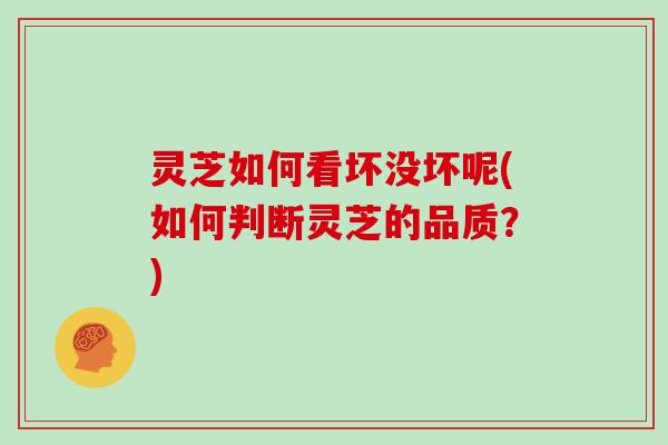 灵芝如何看坏没坏呢(如何判断灵芝的品质？)