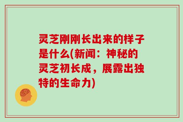 灵芝刚刚长出来的样子是什么(新闻：神秘的灵芝初长成，展露出独特的生命力)