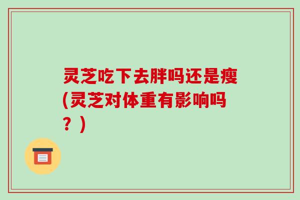 灵芝吃下去胖吗还是瘦(灵芝对体重有影响吗?)