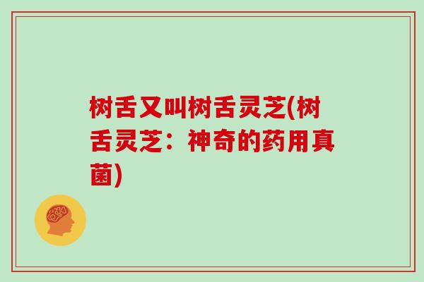 树舌又叫树舌灵芝(树舌灵芝：神奇的药用真菌)