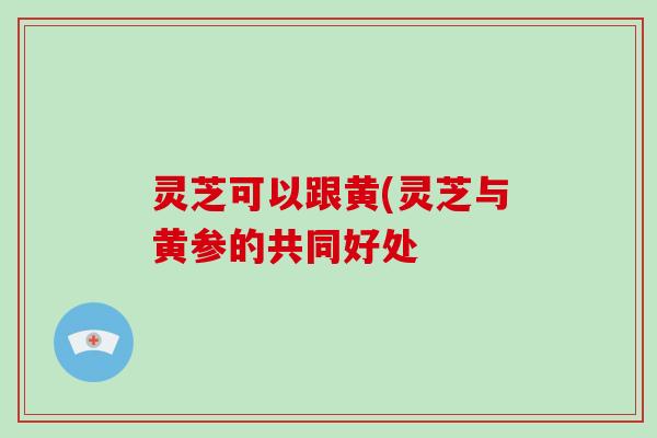 灵芝可以跟黄(灵芝与黄参的共同好处