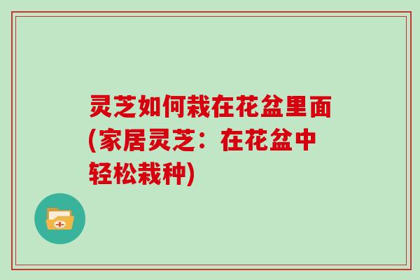 灵芝如何栽在花盆里面(家居灵芝:在花盆中轻松栽种)