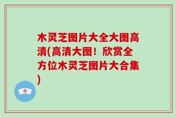 木灵芝图片大全大图高清(高清大图!欣赏全方位木灵芝图片大合集)