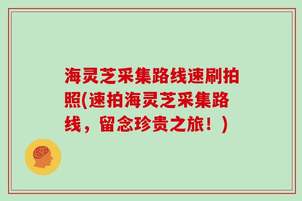 海灵芝采集路线速刷拍照(速拍海灵芝采集路线,留念珍贵之旅!)