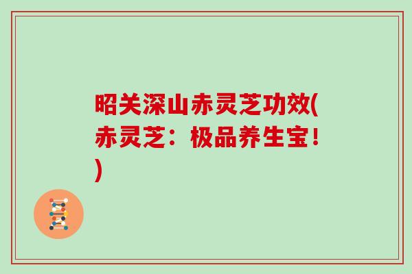 昭关深山赤灵芝功效(赤灵芝：极品养生宝！)
