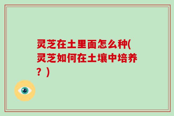 灵芝在土里面怎么种(灵芝如何在土壤中培养？)