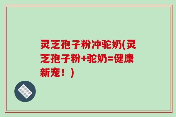 灵芝孢子粉冲驼奶(灵芝孢子粉+驼奶=健康新宠！)
