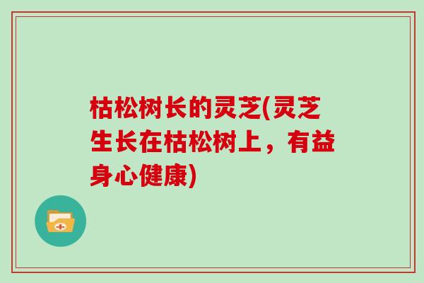 枯松树长的灵芝(灵芝生长在枯松树上,有益身心健康)