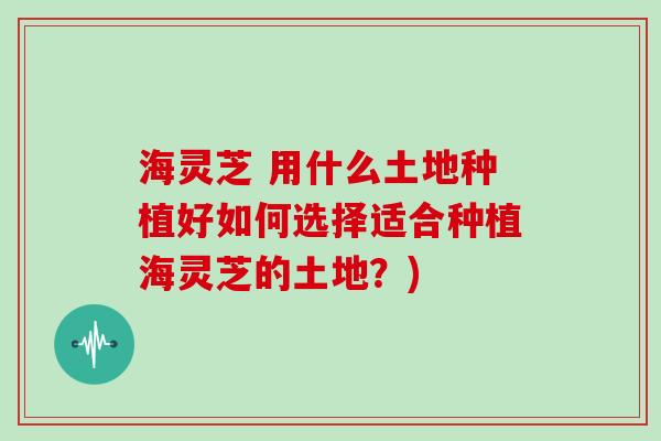 海灵芝 用什么土地种植好如何选择适合种植海灵芝的土地?)