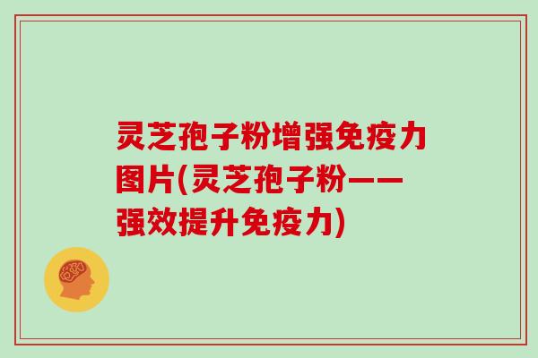 灵芝孢子粉增强免疫力图片(灵芝孢子粉——强效提升免疫力)
