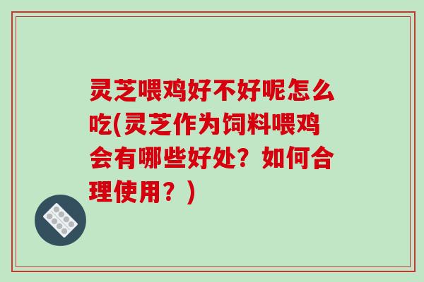 灵芝喂鸡好不好呢怎么吃(灵芝作为饲料喂鸡会有哪些好处?如何合理使用?)