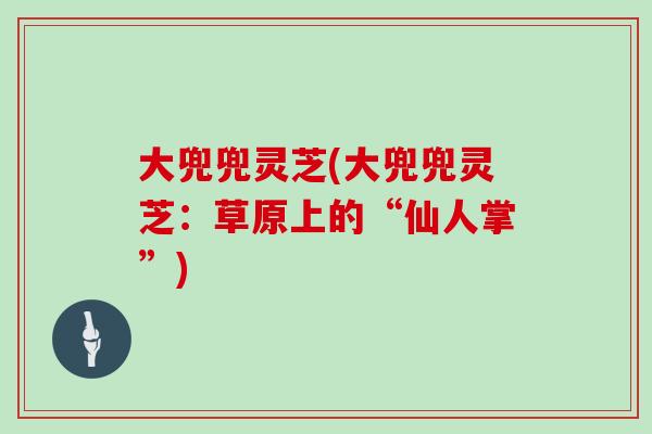 大兜兜灵芝(大兜兜灵芝:草原上的“仙人掌”)