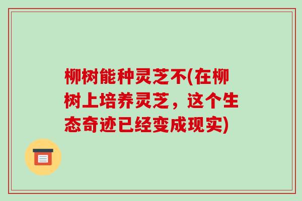 柳树能种灵芝不(在柳树上培养灵芝,这个生态奇迹已经变成现实)
