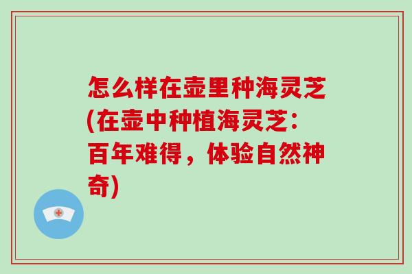 怎么样在壶里种海灵芝(在壶中种植海灵芝：百年难得，体验自然神奇)