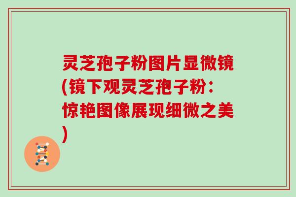 灵芝孢子粉图片显微镜(镜下观灵芝孢子粉:惊艳图像展现细微之美)