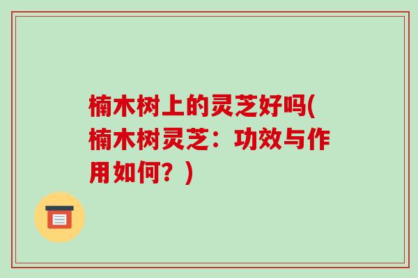 楠木树上的灵芝好吗(楠木树灵芝：功效与作用如何？)