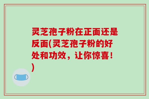 灵芝孢子粉在正面还是反面(灵芝孢子粉的好处和功效,让你惊喜!)
