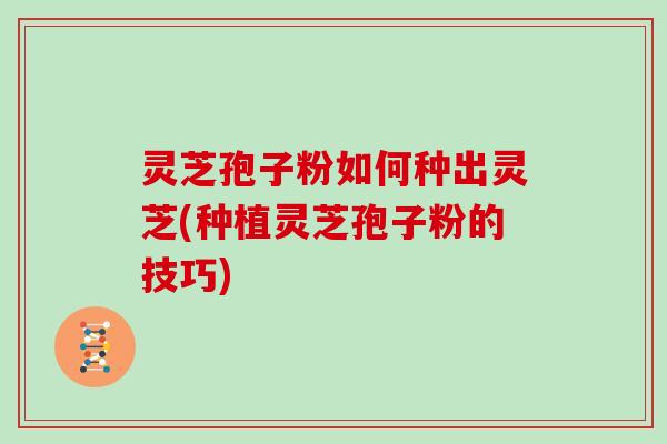 灵芝孢子粉如何种出灵芝(种植灵芝孢子粉的技巧)