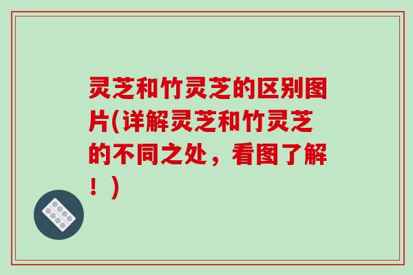 灵芝和竹灵芝的区别图片(详解灵芝和竹灵芝的不同之处,看图了解!)