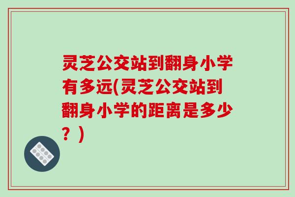 灵芝公交站到翻身小学有多远(灵芝公交站到翻身小学的距离是多少?)