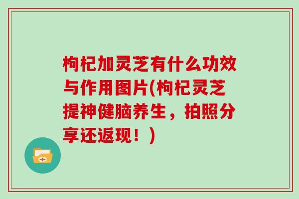枸杞加灵芝有什么功效与作用图片(枸杞灵芝提神健脑养生,拍照分享还返现!)
