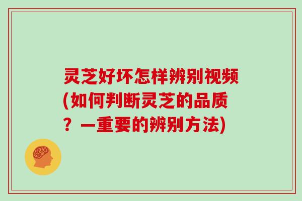 灵芝好坏怎样辨别视频(如何判断灵芝的品质?—重要的辨别方法)