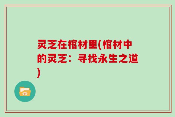灵芝在棺材里(棺材中的灵芝:寻找永生之道)