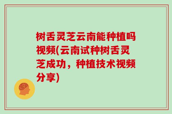 树舌灵芝云南能种植吗视频(云南试种树舌灵芝成功,种植技术视频分享)