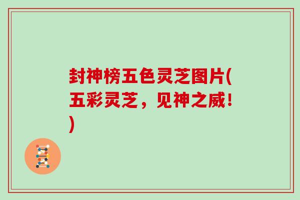 封神榜五色灵芝图片(五彩灵芝,见神之威!)