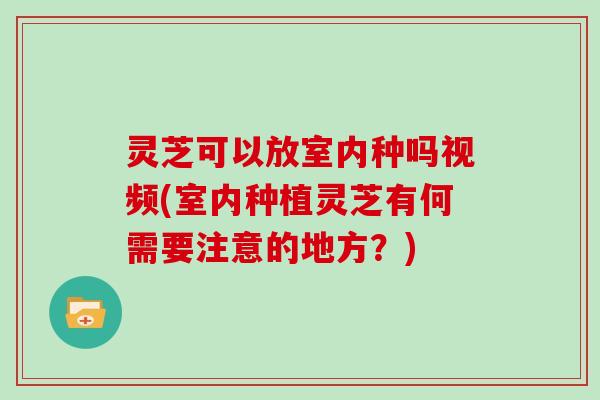 灵芝可以放室内种吗视频(室内种植灵芝有何需要注意的地方?)
