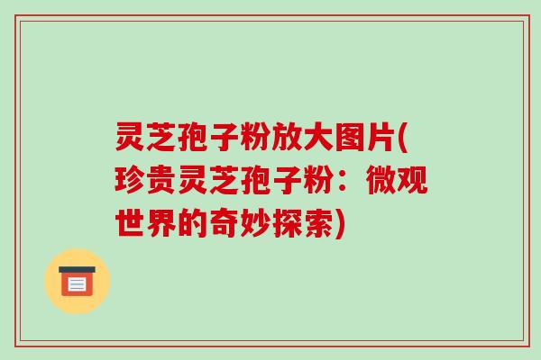 灵芝孢子粉放大图片(珍贵灵芝孢子粉:微观世界的奇妙探索)
