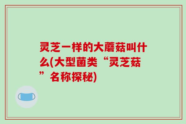 灵芝一样的大蘑菇叫什么(大型菌类“灵芝菇”名称探秘)