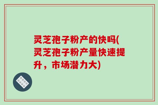 灵芝孢子粉产的快吗(灵芝孢子粉产量快速提升,市场潜力大)