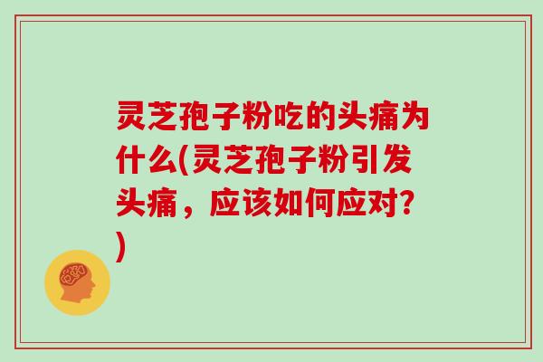 灵芝孢子粉吃的头痛为什么(灵芝孢子粉引发头痛,应该如何应对?)