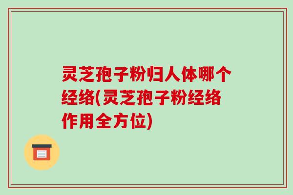灵芝孢子粉归人体哪个经络(灵芝孢子粉经络作用全方位)
