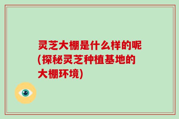 灵芝大棚是什么样的呢(探秘灵芝种植基地的大棚环境)