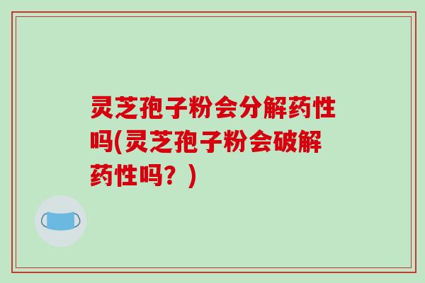 灵芝孢子粉会分解药性吗(灵芝孢子粉会破解药性吗？)