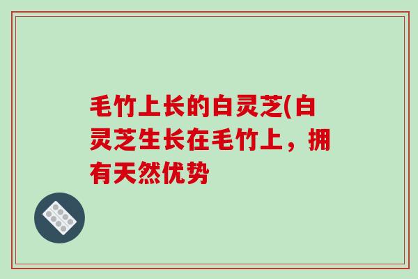 毛竹上长的白灵芝(白灵芝生长在毛竹上,拥有天然优势