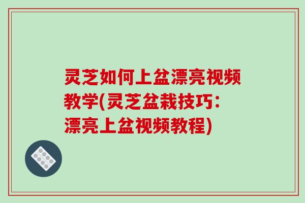灵芝如何上盆漂亮视频教学(灵芝盆栽技巧：漂亮上盆视频教程)