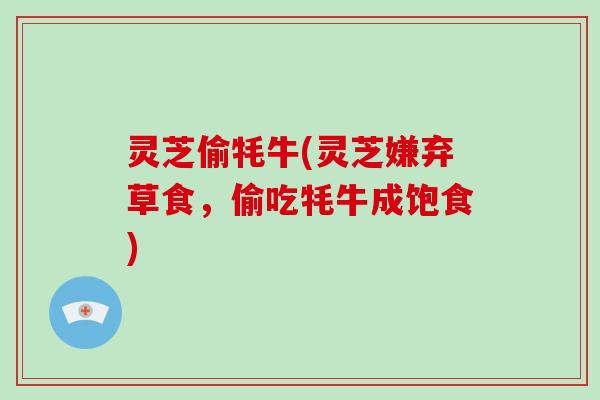 灵芝偷牦牛(灵芝嫌弃草食,偷吃牦牛成饱食)