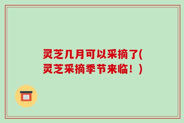 灵芝几月可以采摘了(灵芝采摘季节来临！)