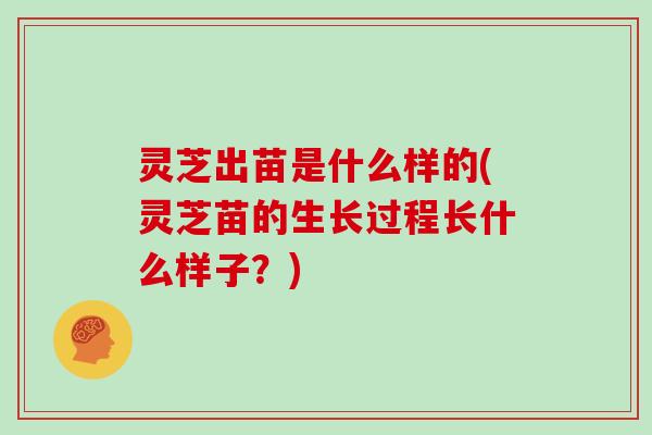 灵芝出苗是什么样的(灵芝苗的生长过程长什么样子?)