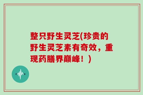 整只野生灵芝(珍贵的野生灵芝素有奇效,重现药膳界巅峰!)