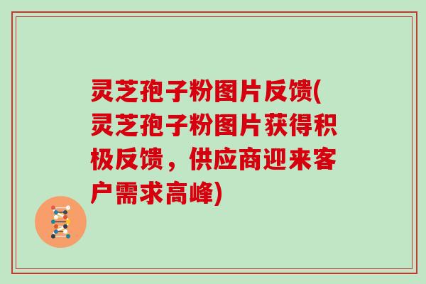 灵芝孢子粉图片反馈(灵芝孢子粉图片获得积极反馈,供应商迎来客户需求高峰)
