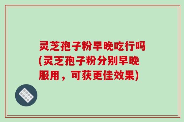 灵芝孢子粉早晚吃行吗(灵芝孢子粉分别早晚服用，可获更佳效果)