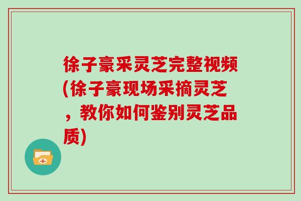 徐子豪采灵芝完整视频(徐子豪现场采摘灵芝,教你如何鉴别灵芝品质)