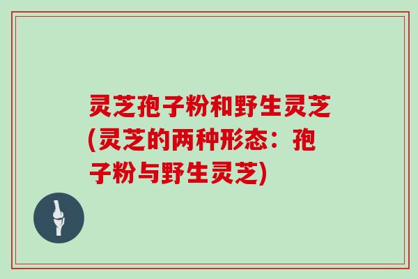 灵芝孢子粉和野生灵芝(灵芝的两种形态:孢子粉与野生灵芝)